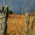An old fence