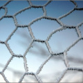 Frost covered fencing.