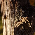 A close up of the fence post