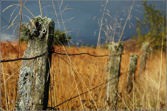 An old fence