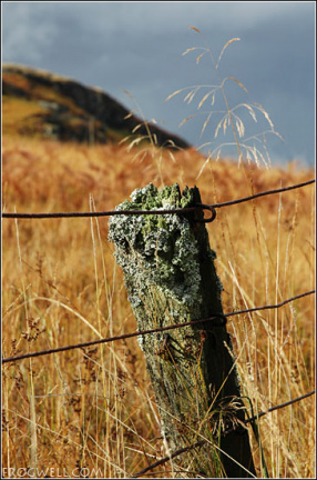 An old fence post