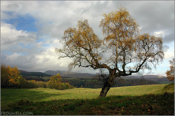 View over Monzievaird from the Black Bank, Crieff