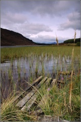 Loch na Craige, above Aberfeldy