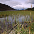 Loch na Craige, above Aberfeldy