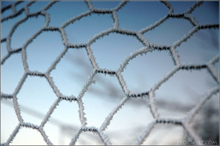 Frost covered fencing.