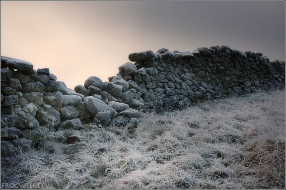 Stone wall on Crappich Hill.