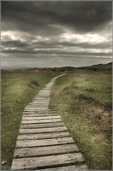 Wooden walkway to the beach at Port Henderson.