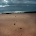 My footsteps at Port Henderson beach.