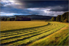 Farmland near Comrie, Perthshire.
