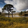 Loch Tulla.