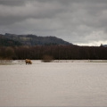 Flooding near Comrie, Perthshire