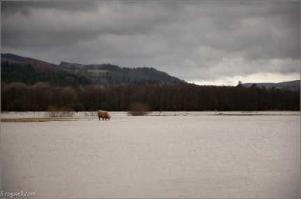 Flooding near Comrie, Perthshire