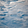 Aerial photo of deer on Meall na Fearna (1)