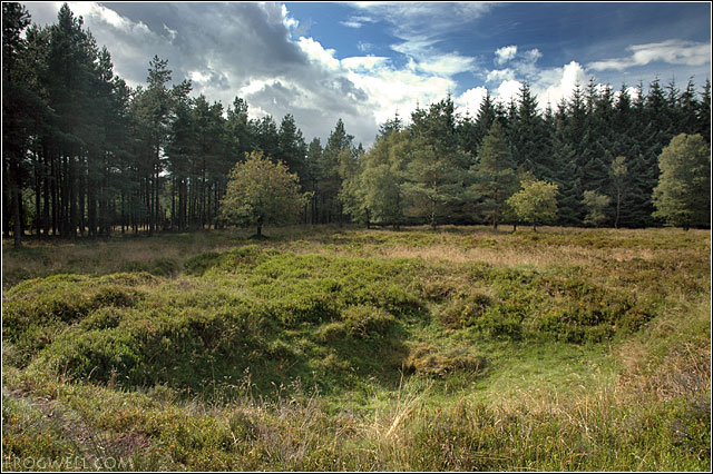 Mass graves of the Jacobites killed in battle at Sheriffmuir.